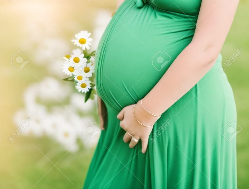Closeup em barriga de mulher grávida, vestindo vestido verde longo, segurando em mãos buquê de flores margaridas ao ar livre, novo conceito de vida