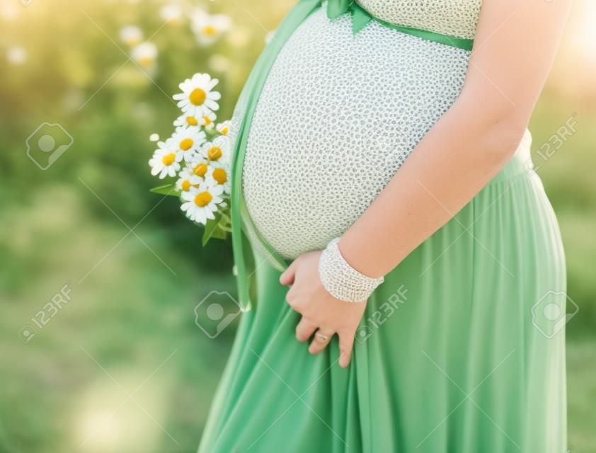 Closeup em barriga de mulher grávida, vestindo vestido verde longo, segurando em mãos buquê de flores margaridas ao ar livre, novo conceito de vida