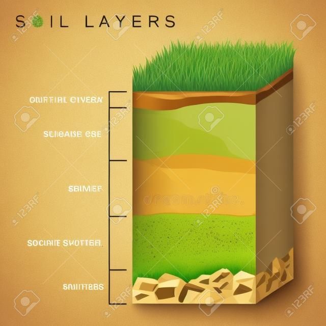 As camadas do solo diagramam a textura da terra, pedras. Aterramento com grama verde em cima. Partículas minerais, areia, húmus e pedras, fertilizante natural. Infográficos de geologia. Educação para crianças. Ilustração vetorial