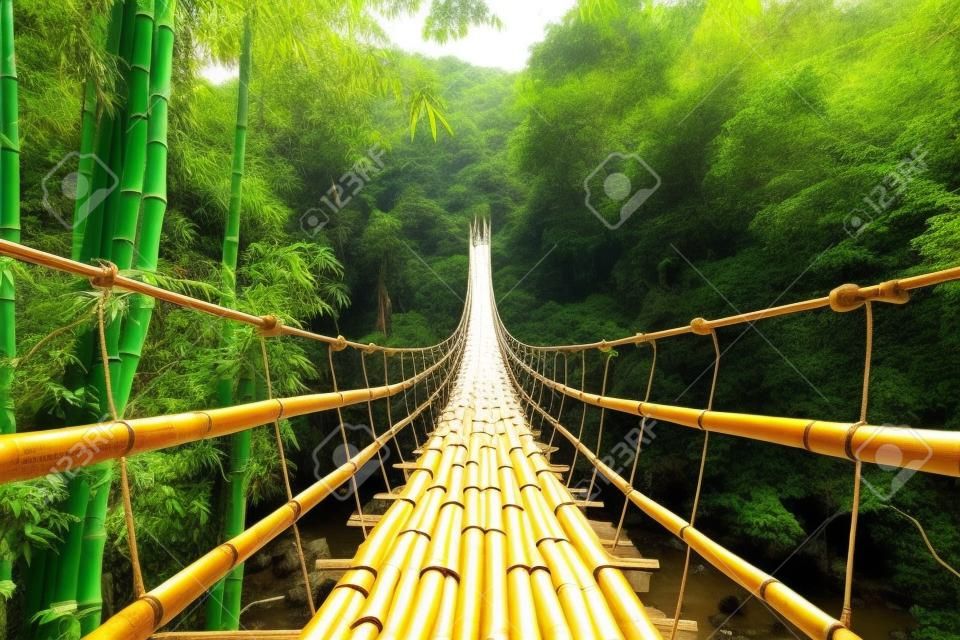 Bamboe voetganger hangbrug over rivier in tropisch bos, Filipijnen
