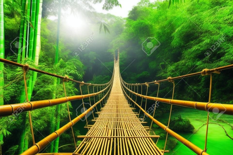 Bamboe voetganger hangbrug over rivier in tropisch bos, Filipijnen