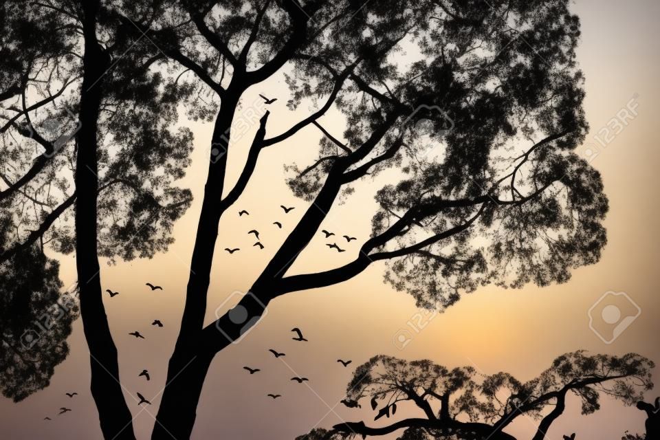 Silhouette d'arbre avec quelques oiseaux volant dans les airs.