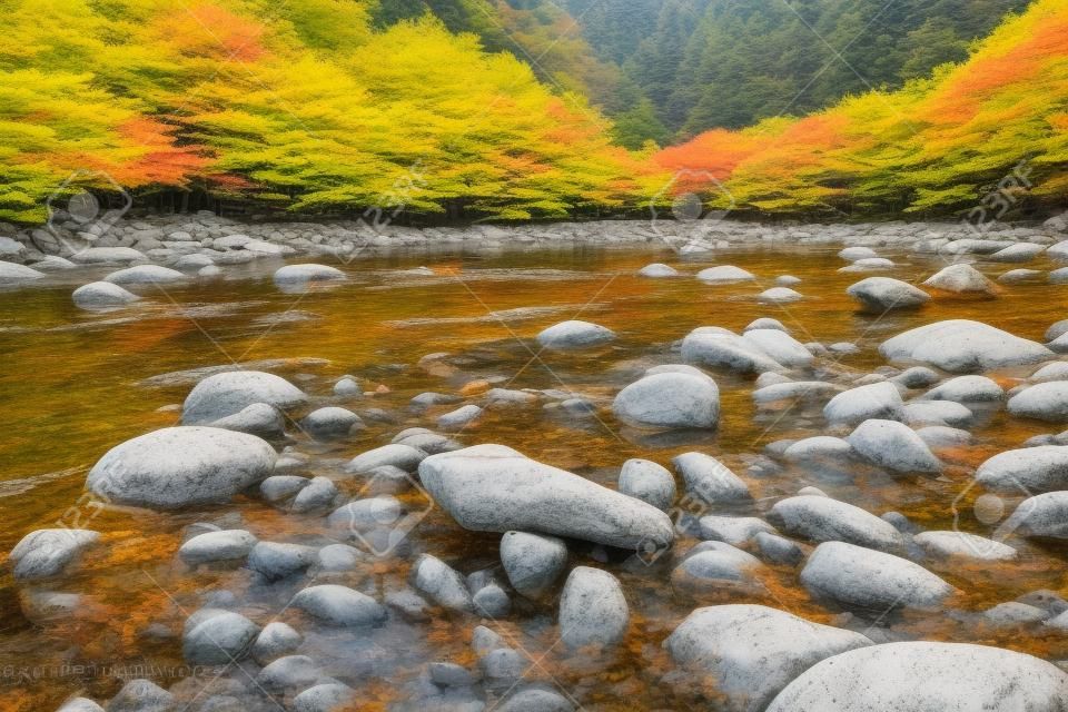 En la rama del lago Okudadaki en otoño
