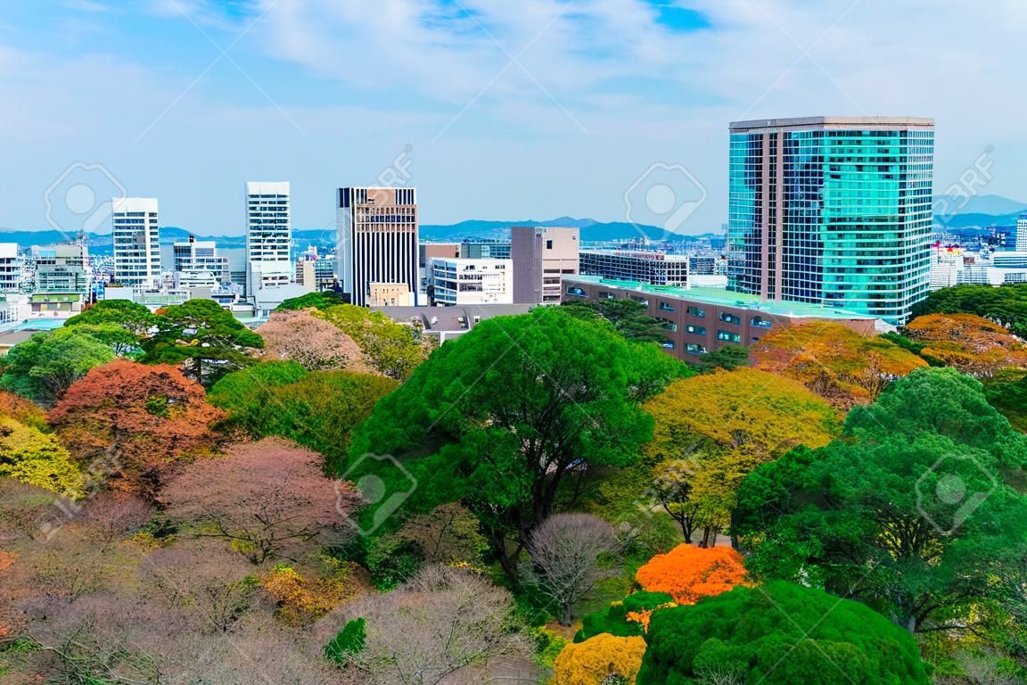 Wspaniały widok z parku maizuru miasta fukuoka w sezonie jesiennym