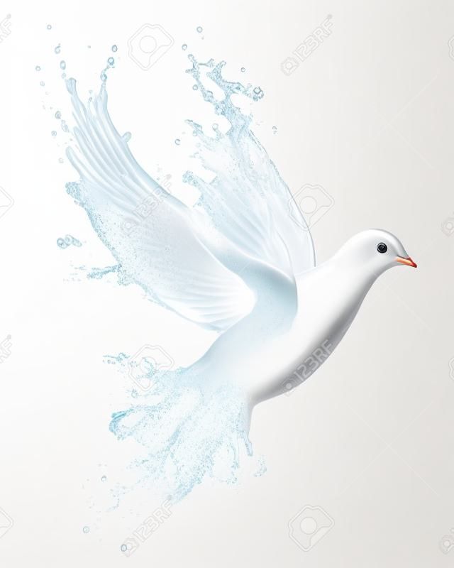 白で隔離された水のしぶきから作られた鳩