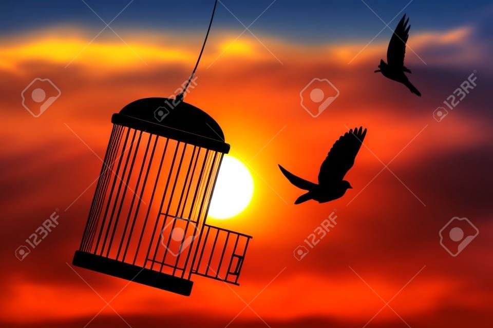Konzept der Freiheit, mit einem Vogel, der aus seinem Käfig entkommt und vor einem Sonnenuntergang wegfliegt.