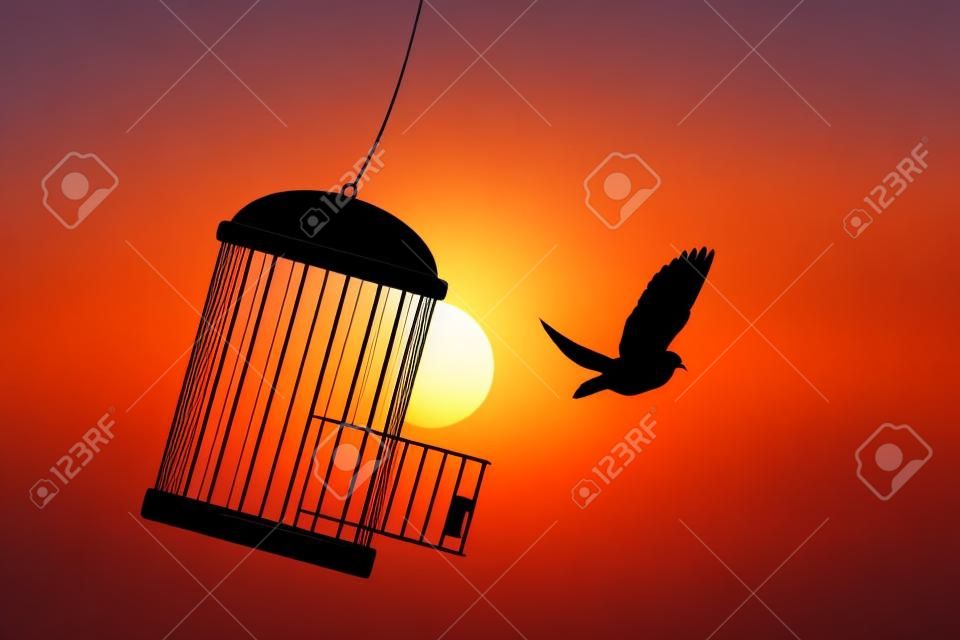Concept of freedom, with a bird that escapes from its cage and flies away in front of a sunset.