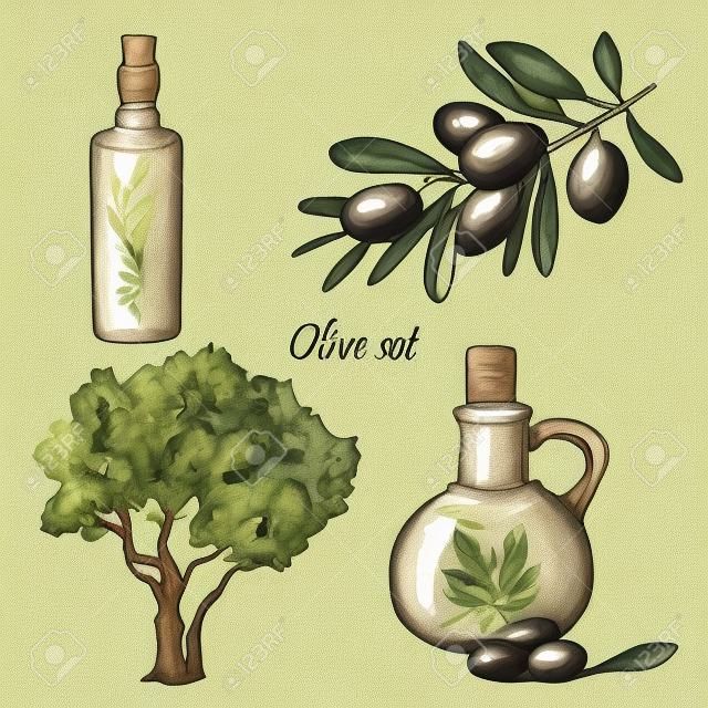 Hand gezeichnet Oliven Set