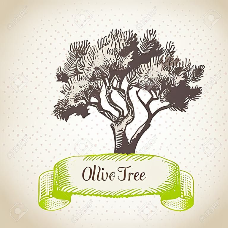Olive tree  Hand drawn illustration