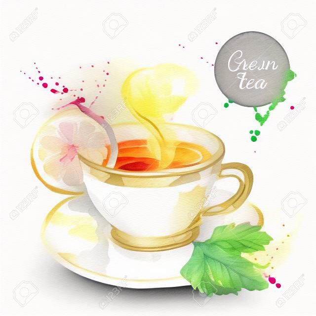 Aquarela mão desenhada ilustração vetorial de chá pintado. Design do menu