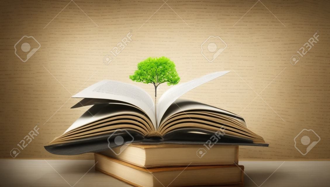 Bildungskonzept mit Baum des Wissens, das beim Öffnen eines alten großen Buches in der Bibliothek mit Lehrbuch, Stapeln von Textarchiven und Bücherregalen im Klassenzimmer der Schule gepflanzt wird