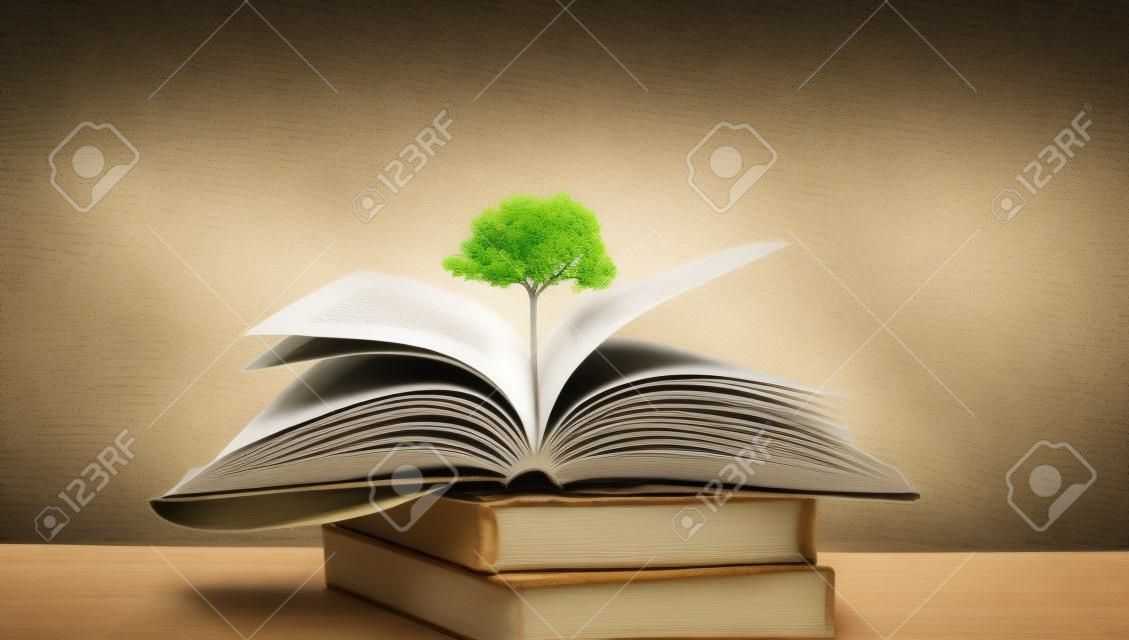 conceito de educação com árvore de conhecimento plantando na abertura do velho livro grande na biblioteca com livro didático, pilhas de pilha de arquivo de texto e corredor de estantes de livros na sala de aula de estudo da escola