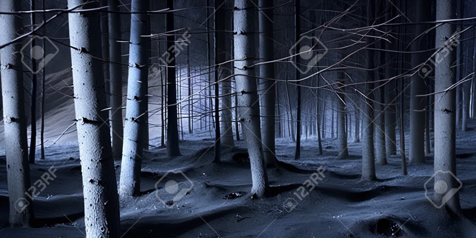 Spooky blue forest with dry trees