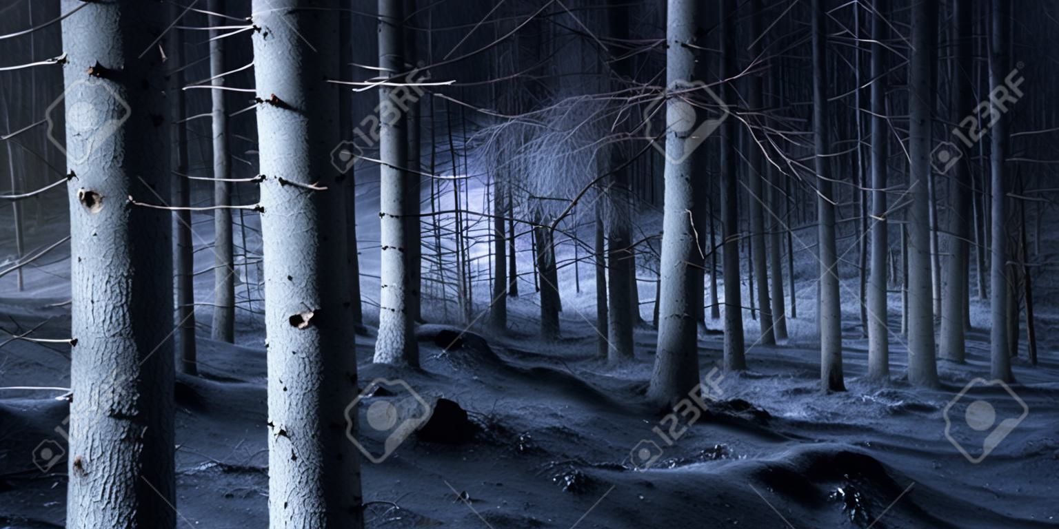 Spooky blau Wald mit trockenen Bäumen