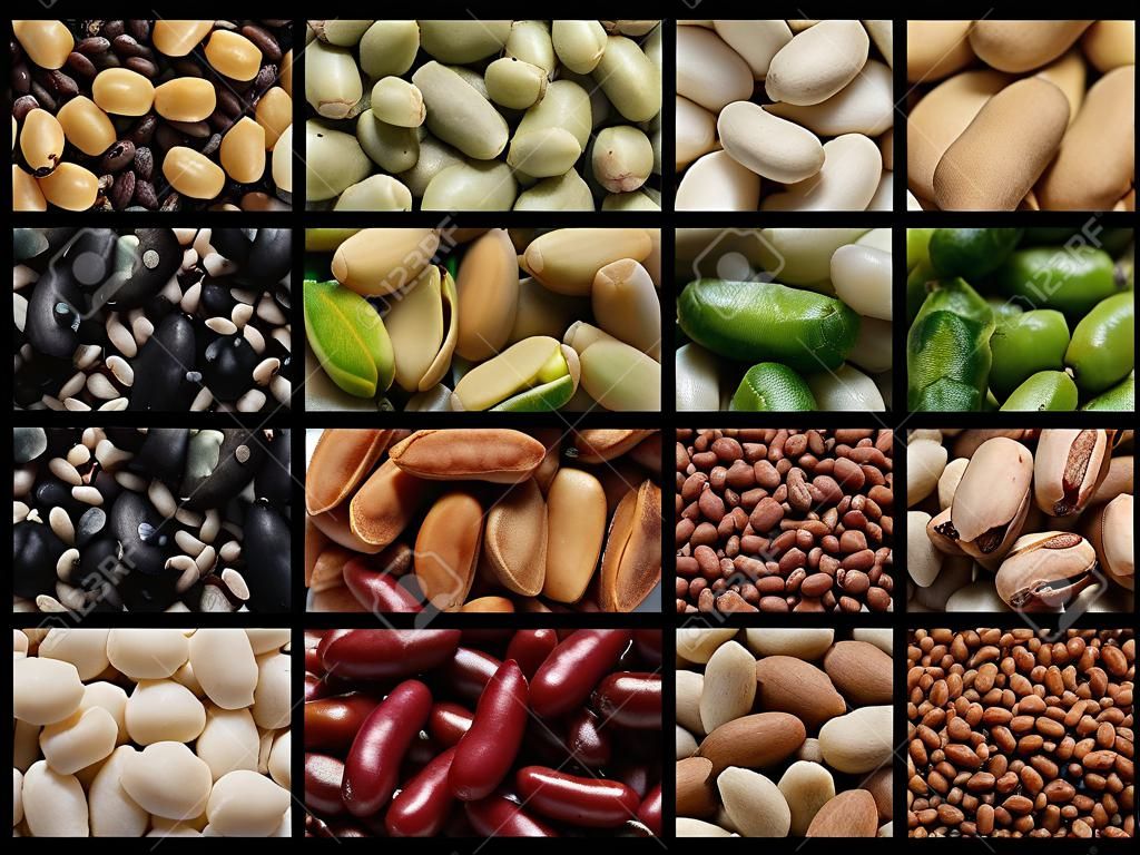 Collage mostrando diferentes tipos de frijoles, como guisantes, frijol negro de ojos y fava marrón