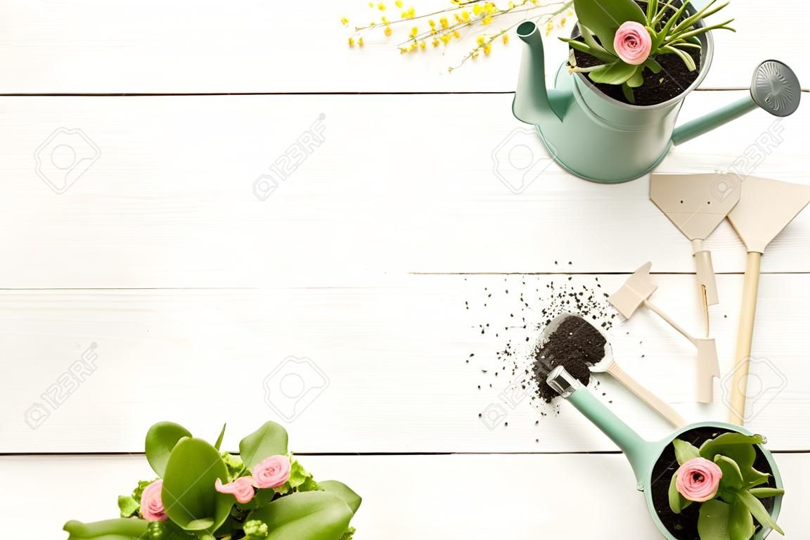 園藝工具，花盆，澆水可以在白色木製桌子。春天花園概念的背景，自由文本空間（俯視，平絞）。