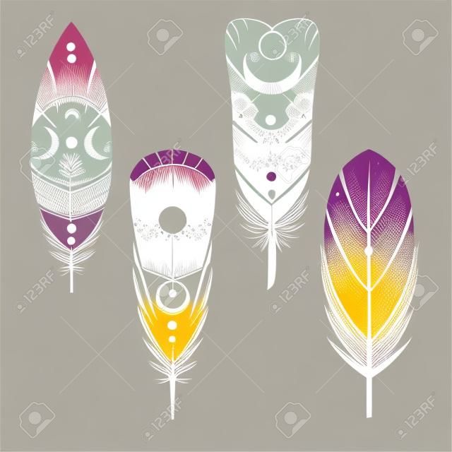 Painted bird feathers. Vector hand drawn illustration in boho style.