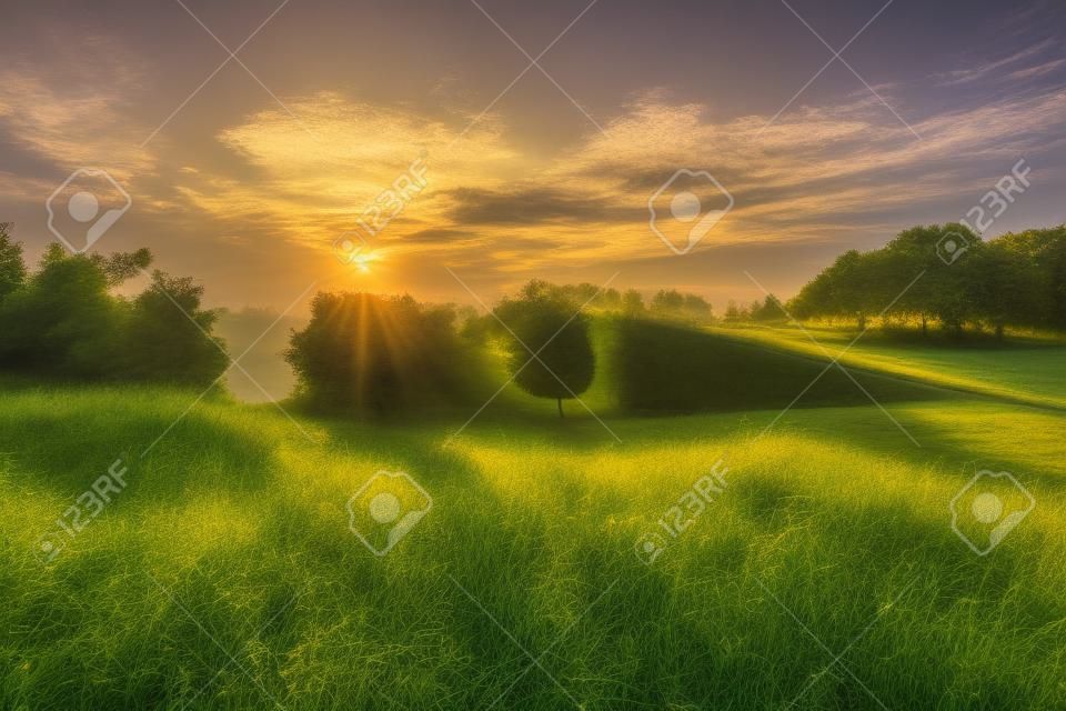 Sunset over meadow and trees in Ptuj, Slovenia
