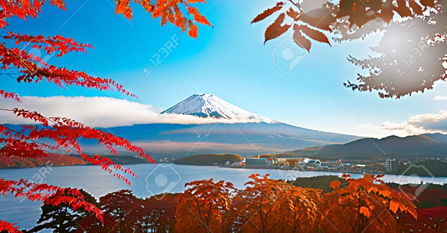 Colorful Autumn in Mount Fuji, Japan - Lake Kawaguchiko is one of the best places in Japan to enjoy Mount Fuji scenery of maple leaves changing color giving image of those leaves framing Mount Fuji.