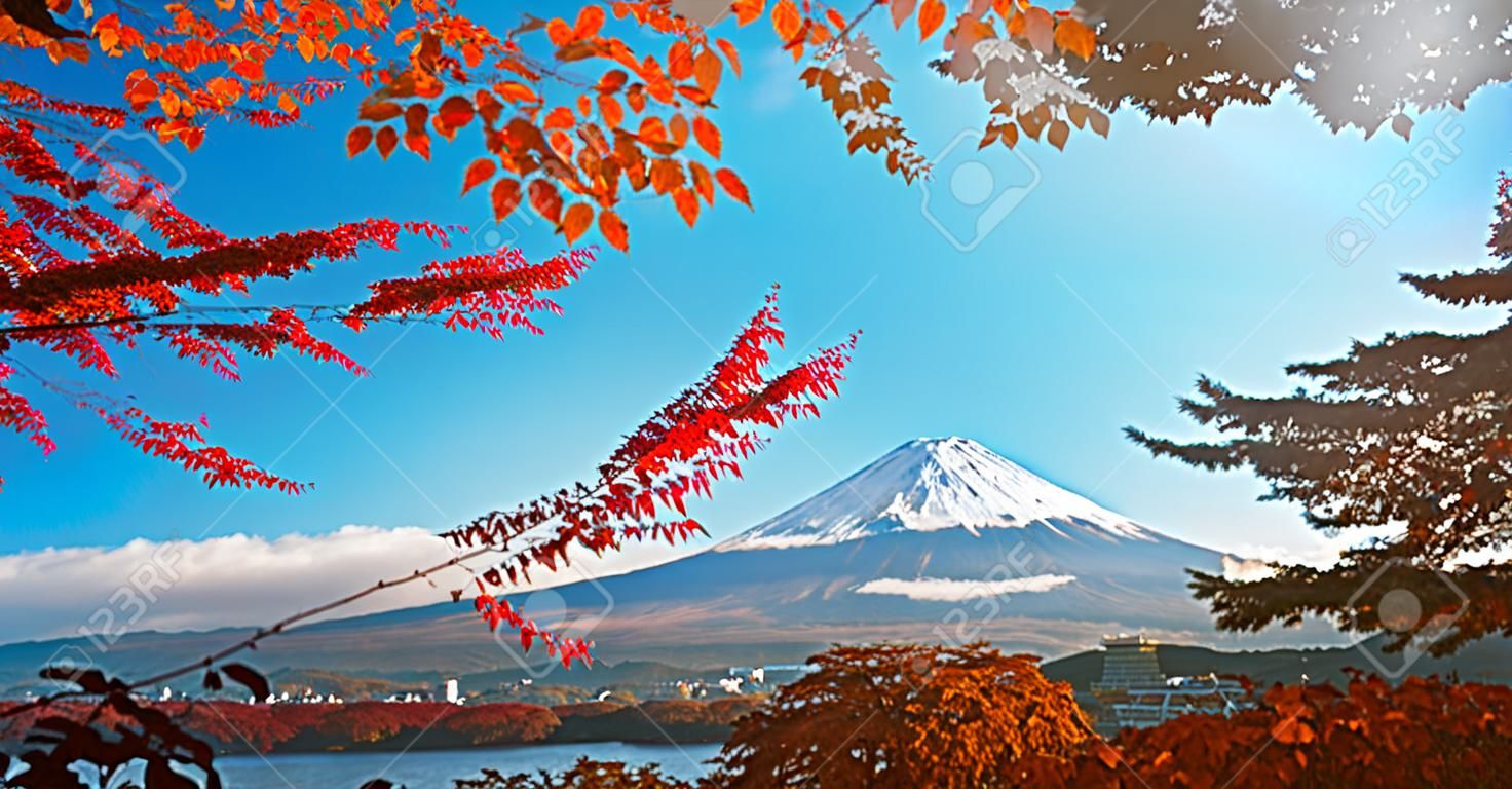 日本富士山的多彩秋天-河口湖是日本欣賞富士山楓葉風光變色的最佳場所之一，楓葉變色賦予了富士山構圖的葉子形象。