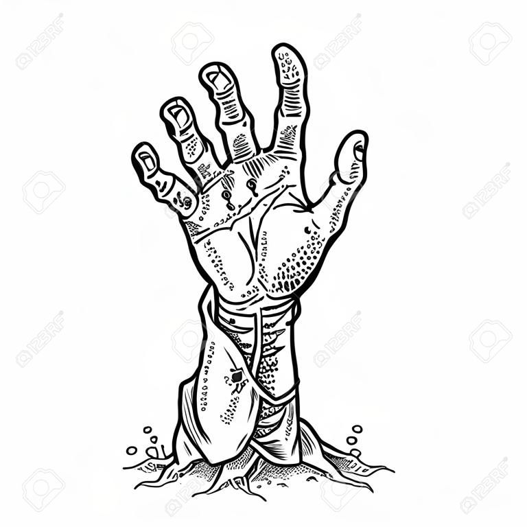 Zombie hand with claw. Vector black vintage engraving