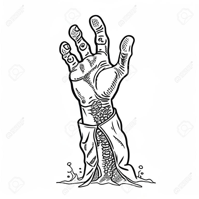 Zombie hand with claw. Vector black vintage engraving