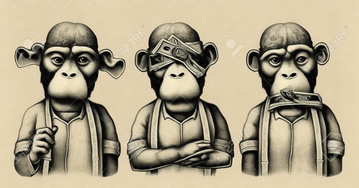 Tres monos sabios con dinero en las orejas, los ojos y la boca. No ver, no oír, no hablar. Ilustración de grabado negro vintage para cartel, web, camiseta, tatuaje. Aislado sobre fondo blanco