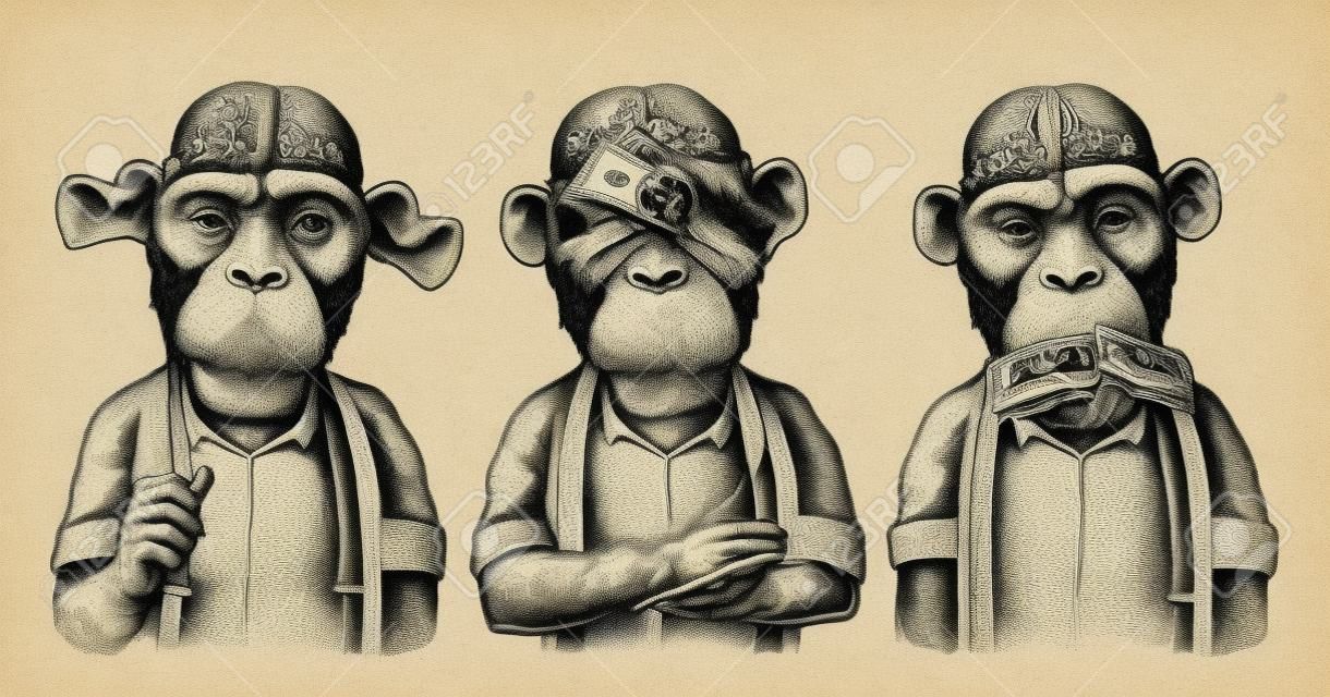 Três macacos sábios com dinheiro nos ouvidos, olhos, boca. Não ver, não ouvir, não falar. Ilustração de gravura preta vintage para cartaz, teia, camiseta, tatuagem. Isolado no fundo branco