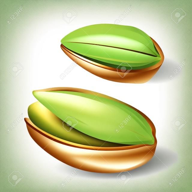 Pistachio nut with and without shell. Vector color realistic illustration. Isolated on white background.