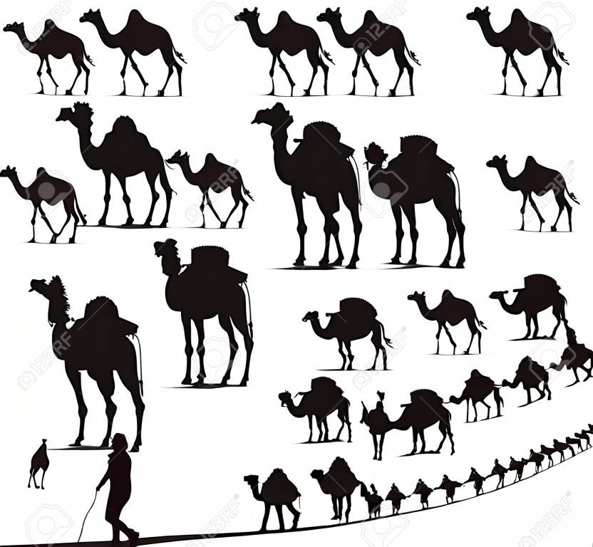 Camelo e caravana Silhouettes