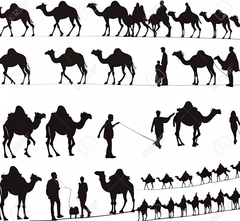 Siluetas de camello y caravanas