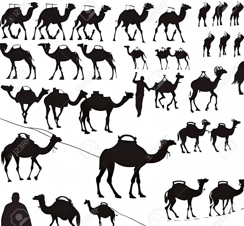 Camel and caravan Silhouettes