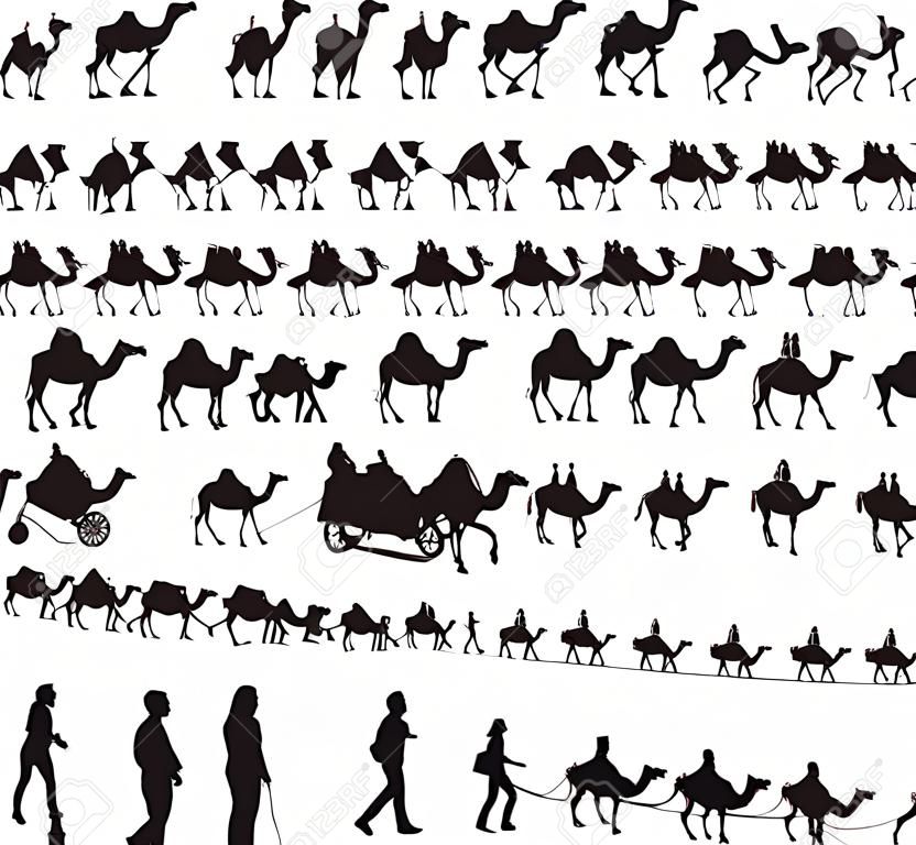 Siluetas de camello y caravanas