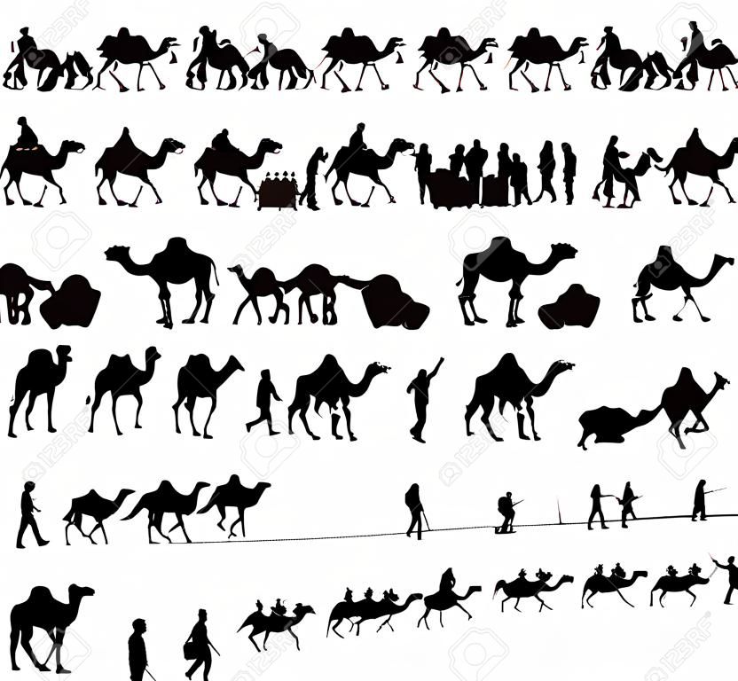Silhouettes de chameau et caravane