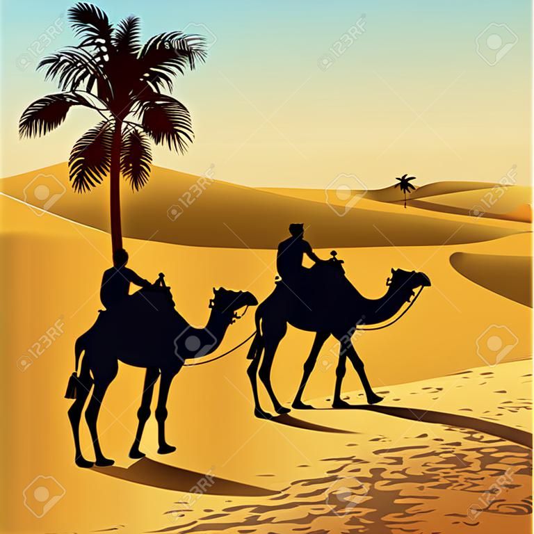 Sahara lifestyle and camel caravan