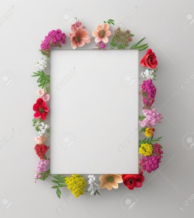 disposizione cornice fiore isolato su sfondo bianco
