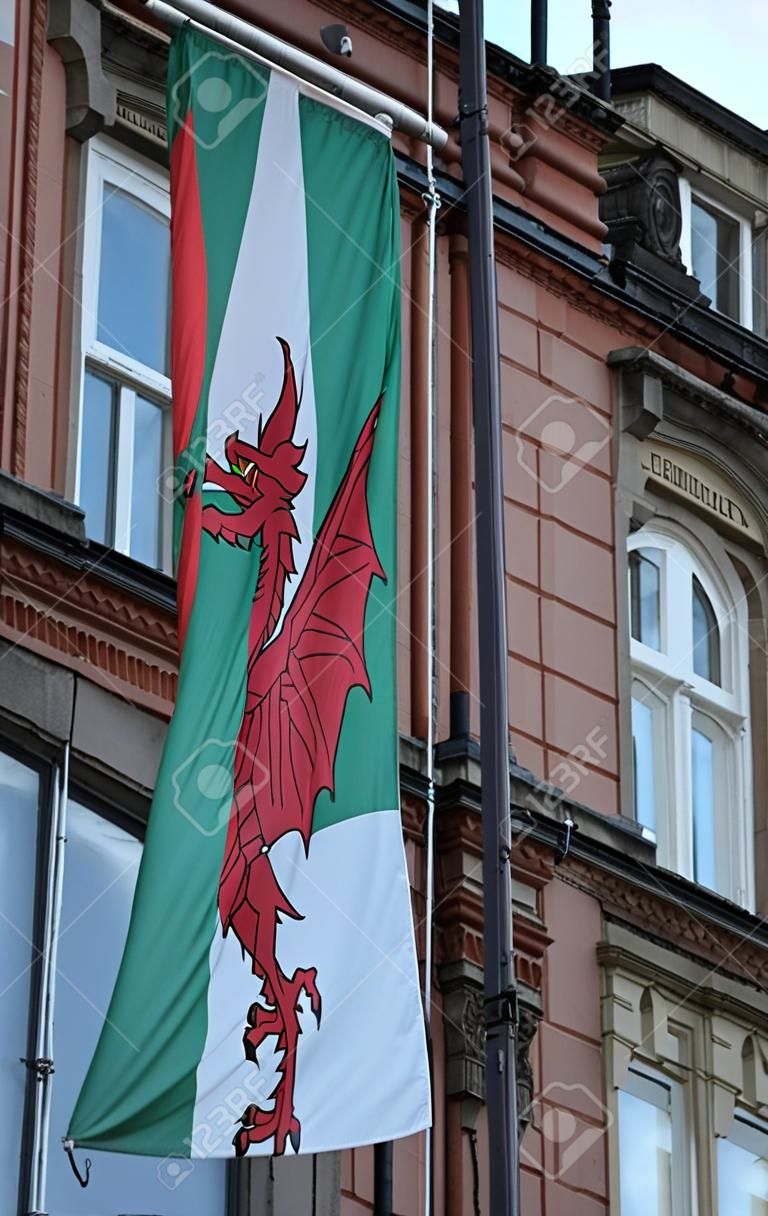 Cardiff flag and buildings from city with sky