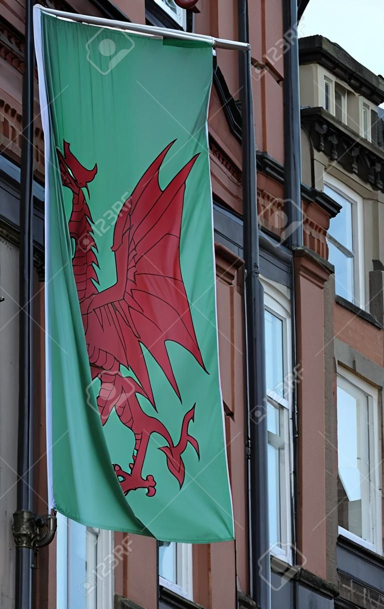 Cardiff flag and buildings from city with sky