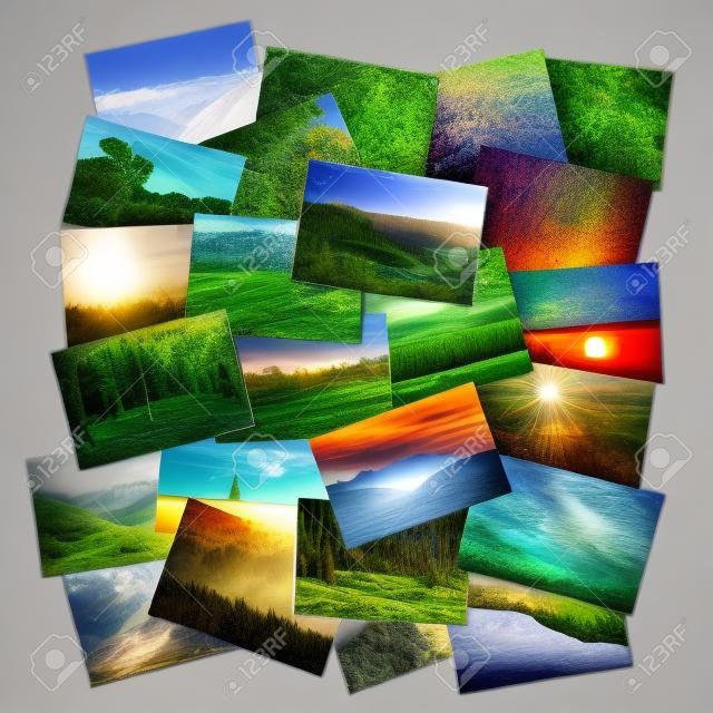 collage of many pictures of nature lying in a heap