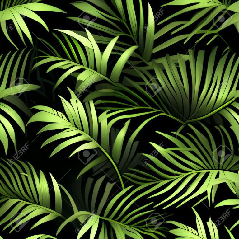 新鮮な緑の熱帯ヤシの木の葉と黒い背景に分岐パターン