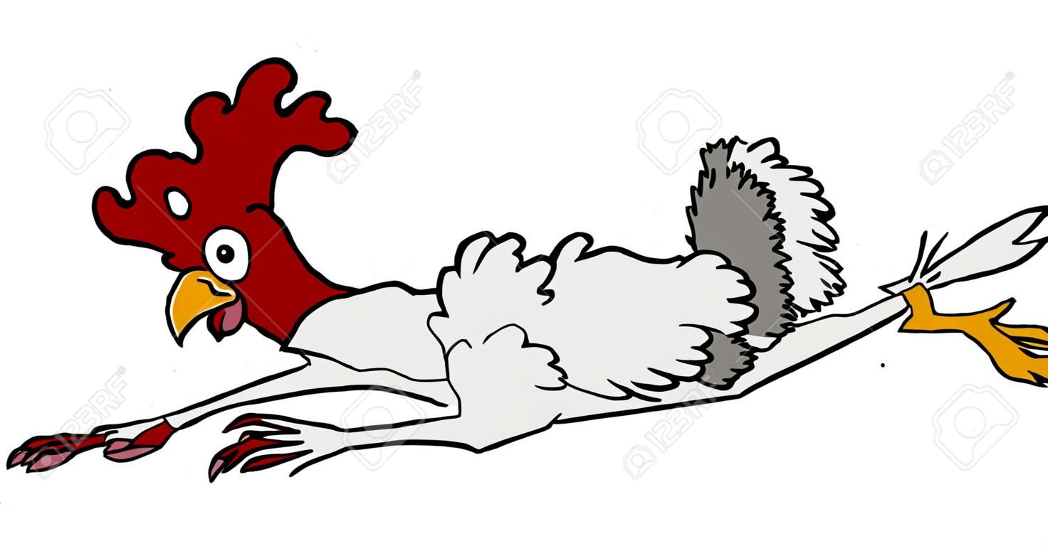 Так почему же эта курица перешла дорогу? После того, как нас сбила машина, я думаю, мы никогда не узнаем об этом.