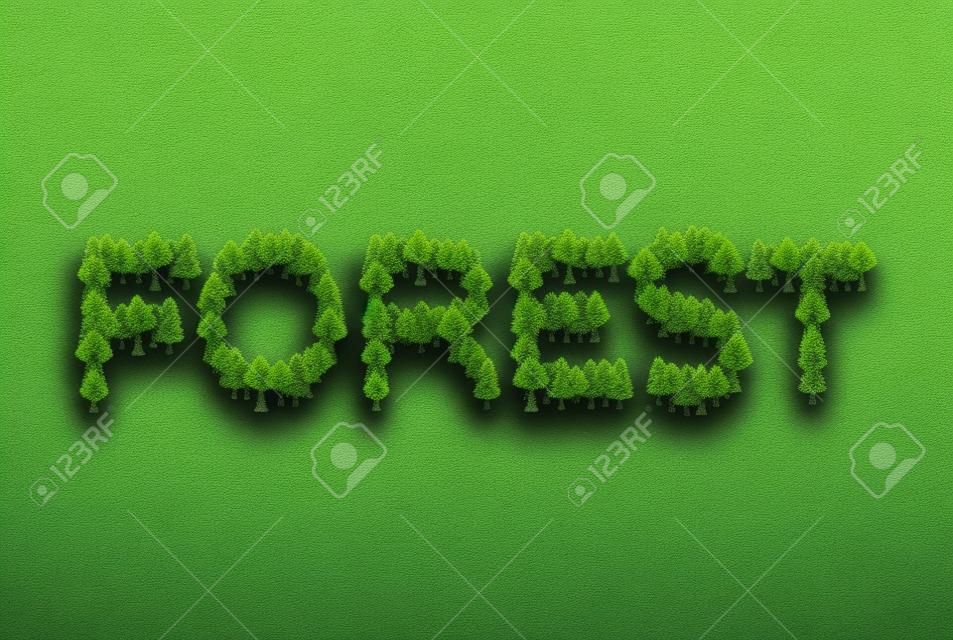 Forest lettering. Letters from trees. Nature typography
