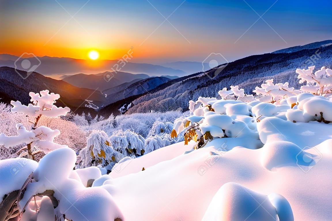 Salida del sol en las montañas Deogyusan cubierta de nieve en invierno, Corea del Sur.