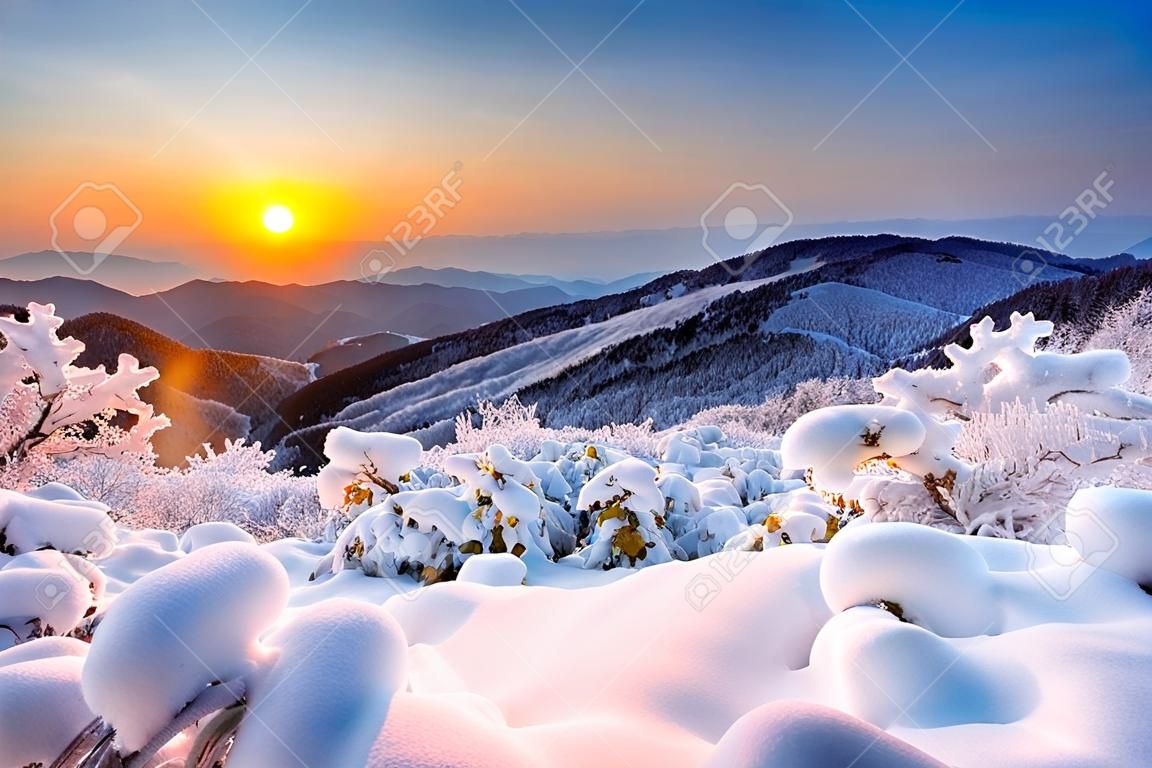 Salida del sol en las montañas Deogyusan cubierta de nieve en invierno, Corea del Sur.