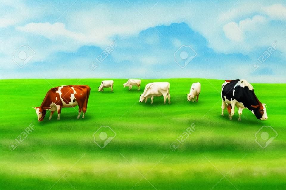 在綠色的田野奶牛。