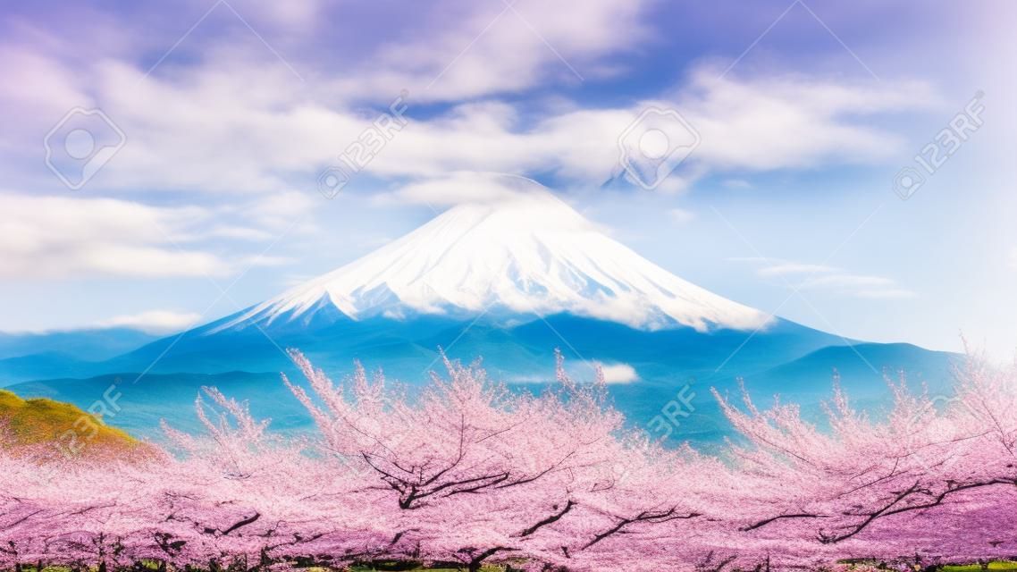 Montanha de Fuji e flores de cerejeira na primavera, Japão.