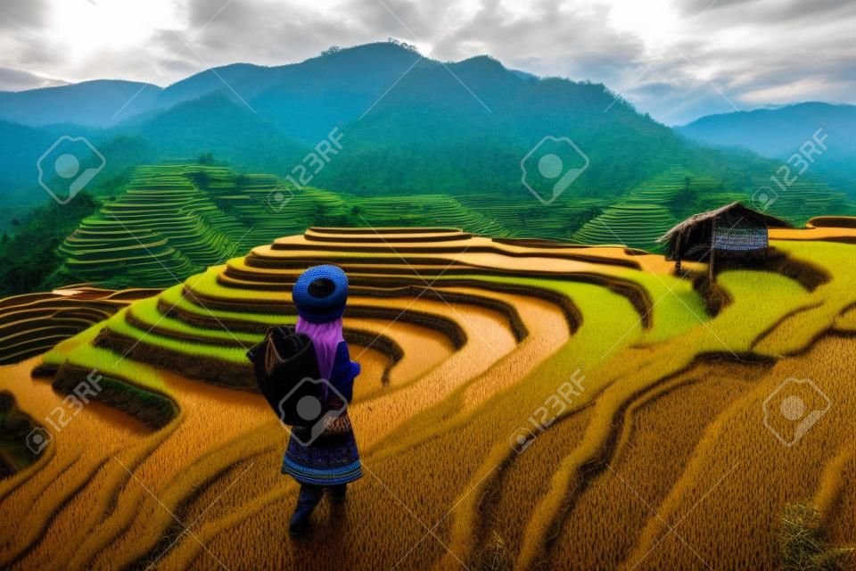 Hmong ethnic minority standing on rice terraces in Mu Cang Chai, Yen Bai, Vietnam.