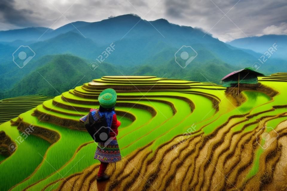 Hmong ethnic minority standing on rice terraces in Mu Cang Chai, Yen Bai, Vietnam.