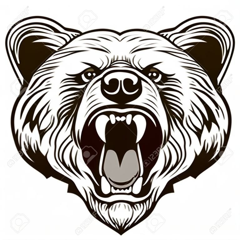 Cabeza del oso enojado. ilustración vectorial