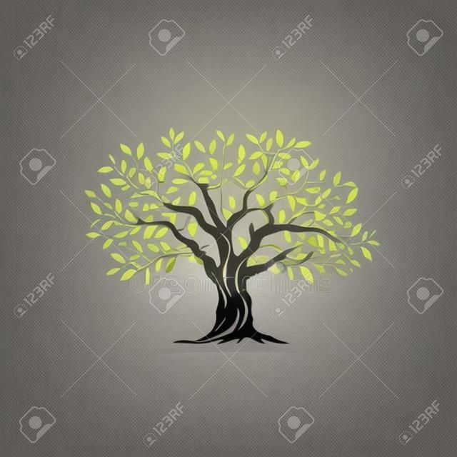 Piękny wspaniały drzewo oliwne sylwetka na szarym tle. Infografika nowoczesny znak wektora. Jakość ilustracja koncepcja Premium.